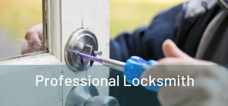  Professional Locksmith 
